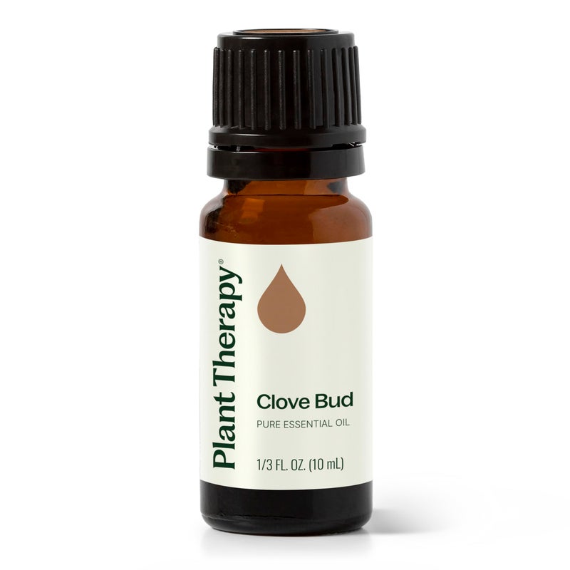 Plant Therapy Clove Bud Essential Oil 10 mL (1/3 oz), 100% Pure, Undiluted, Natural Aromatherapy, Immune Support, Sore Muscle & Joint Relief - Image 1